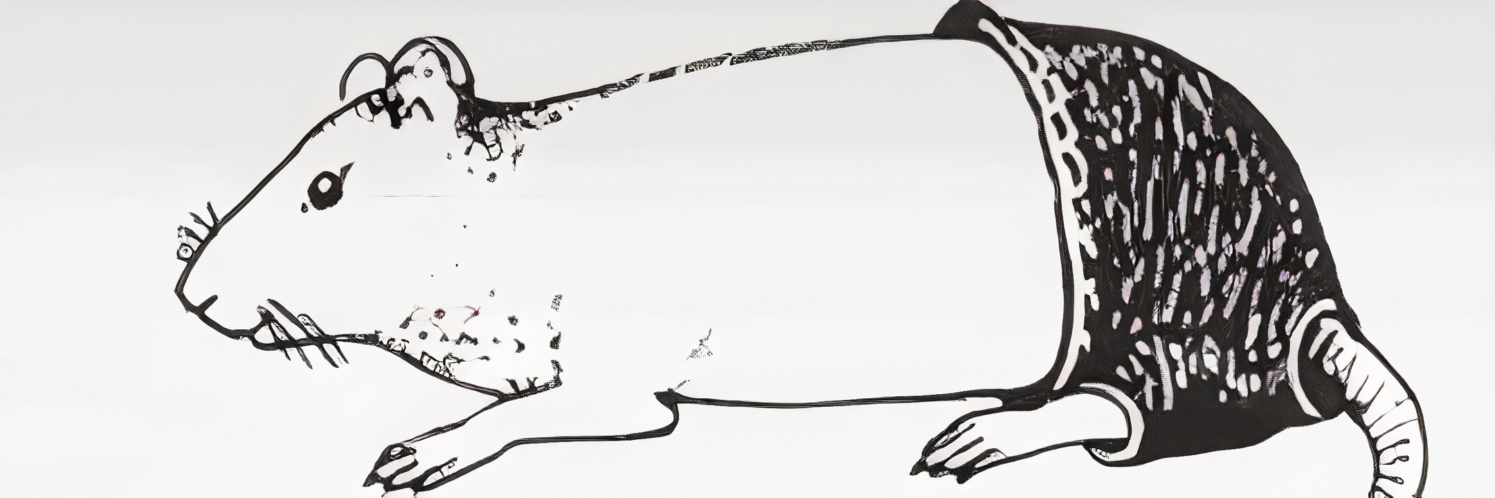 Newsy z Pipczykversum 01